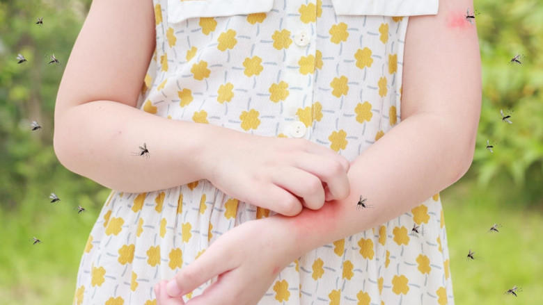 Trẻ em là đối tượng dễ gặp nguy hiểm khi bị các loại muỗi mang bệnh đốt