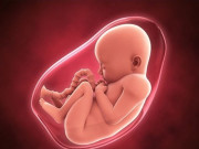 Bà bầu - Nguồn gốc thú vị của nước ối và tầm quan trọng của chất lỏng đặc biệt này khi mang thai