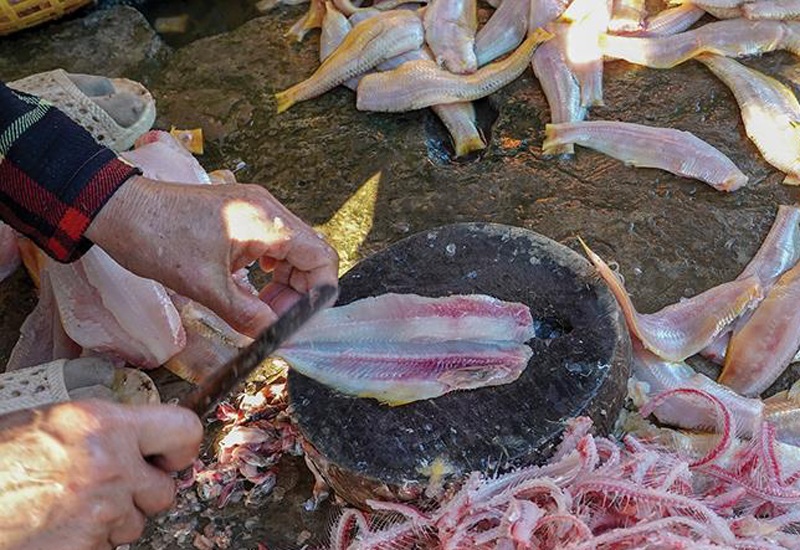 Ngoài khô cá lẹp vàng, loại cá này còn có thể chế biến thành mắm, chả,  ăn cùng rau mưng. Tất cả đều mang hương vị của vùng đất Cà Mau, càng ăn càng mê.
