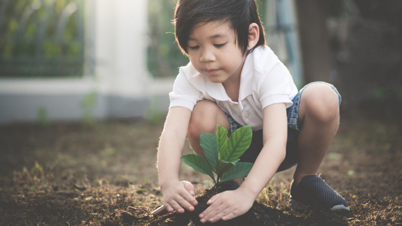 Trẻ sinh giờ này có trí tuệ cảm xúc cao, tài năng kinh doanh bẩm sinh. Trẻ có thể nhận thức về cảm xúc, hiểu rõ tâm lý của đối tác trong khi giao tiếp. Nhờ đó thu hút được nhiều đối tác, trở nên thành đạt. *Thông tin chỉ mang tính chất tham khảo.
