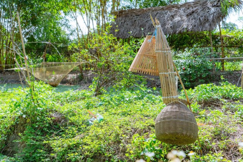 Người phụ nữ Hà Nội dành 10 năm làm vườn rộng 50.000m2 với hơn 2000 loài thực vật đẹp hệt cánh rừng thu nhỏ - 7