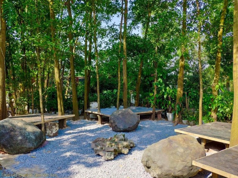 Người phụ nữ Hà Nội dành 10 năm làm vườn rộng 50.000m2 với hơn 2000 loài thực vật đẹp hệt cánh rừng thu nhỏ - 6