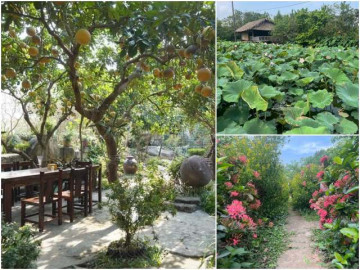 Người phụ nữ Hà Nội dành 10 năm làm vườn rộng 50.000m2 với hơn 2000 loài thực vật đẹp hệt cánh rừng thu nhỏ