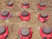 Tin tức - Tại sao chỉ gọi là "con gái rượu" mà không gọi "con trai rượu", lý giải đầy thú vị khiến nhiều người bất ngờ