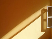 Eva tám - Người khôn ngoan biết cho phép mình "không đơm hoa kết trái"