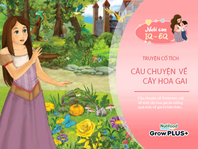 Nuôi con IQ EQ - Truyện cổ tích: Chuyện cây hoa gai