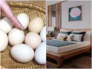 Nhà đẹp - Người xưa thường luộc chín trứng gà rồi đặt dưới gầm giường, biết lý do tôi liền làm theo