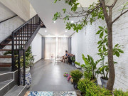 Nhà đẹp - Nhà giàu hay đặt cây cảnh ở vị trí kích hoạt tài lộc này, chẳng trách càng ở càng giàu