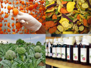 Lifestyle - 6 đặc sản chỉ có ở Đà Lạt, mua về làm quà thì cực quý