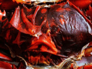 Xem ăn chơi - Thứ xưa ít người biết, giờ thành đặc sản cực kỳ hiếm, chế biến kiểu gì cũng ngon tuyệt, 800.000 đồng/kg