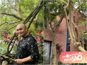 Nhà đẹp - "Vua hài" tài sản kếch xù Xuân Hinh khoe ảnh câu cá, hé lộ một góc căn biệt phủ mới vô cùng hoành tráng