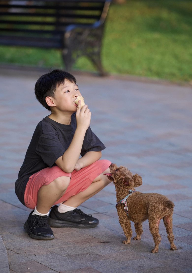 Cô bày tỏ thêm với mọi người: Hẳn là 11, 12 tuổi cơ các bác ạ. Làm chị mẹ tí chết sặc. Đan Lê cho biết con trai mình chỉ mới 9 tuổi.