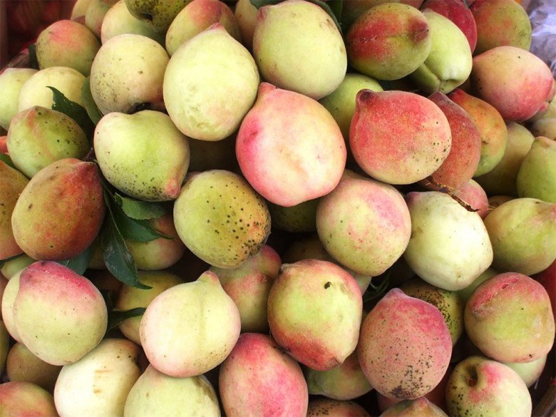 7 đặc sản Lạng Sơn ngon lừng lẫy, mua về làm quà thì hết ý, có món nhiều tiền cũng chưa chắc được ăn - 5