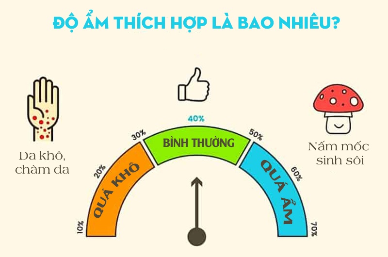 Độ ẩm tương đối có thể khiến cơ thể con người cảm thấy thoải mái là 45% -65%, đặt máy tạo độ ẩm an toàn trong phòng ngủ để không khí trong phòng có thể đạt đủ đổ ẩm sẽ giúp bạn thoải mái khi ngủ hơn.
