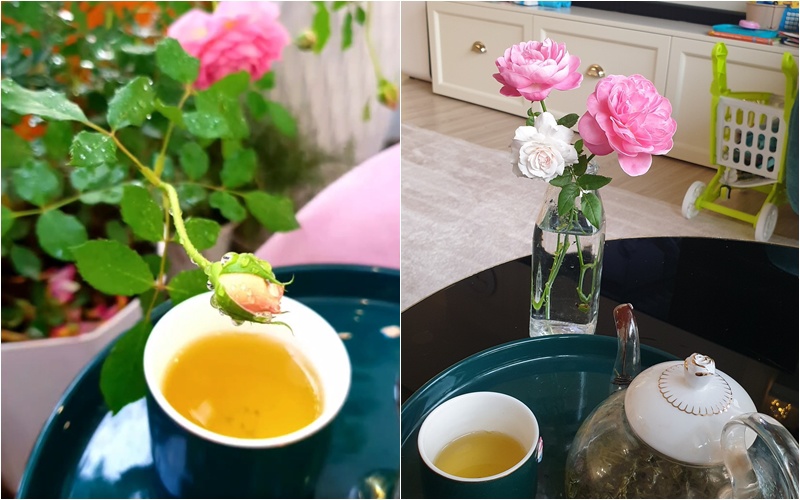 Uống trà, ngắm hoa hồng tại gia là một trong những sở thích giúp nhạc sĩ sinh năm 1984 thư thái.
