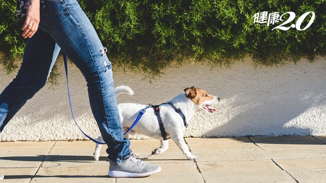 Đi bộ 10.000 bước mỗi ngày không chính xác với tất cả mọi người. (Ảnh minh họa)