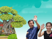 Tin tức - Cặp vợ chồng "độc lạ" Bình Dương: Thà ở nhà tuềnh toàng chứ không chịu bán cây cảnh tự định giá 60 tỷ đồng