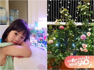 Diễn viên Phía trước là bầu trời sống cùng vợ đẹp con xinh trong căn nhà lãng mạn, làm bể cá cho con gái đẹp mê