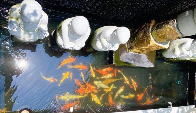 Vị amp;#34;cá mậpamp;#34; là ông mai của Hoa hậu Đặng Thu Thảo: Độc thân giàu có tuổi 40, sống trong biệt thự rộng mênh mông - 21