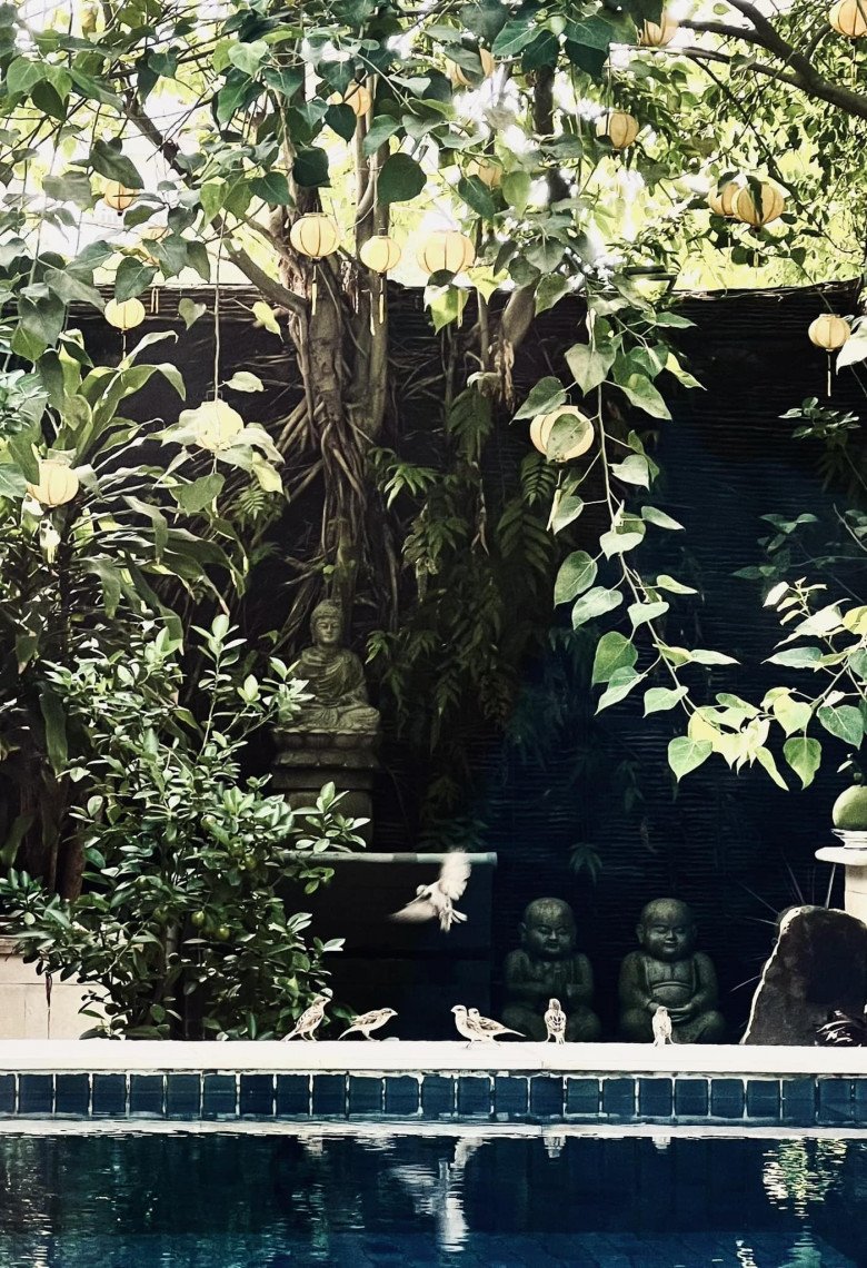 Vị amp;#34;cá mậpamp;#34; là ông mai của Hoa hậu Đặng Thu Thảo: Độc thân giàu có tuổi 40, sống trong biệt thự rộng mênh mông - 18