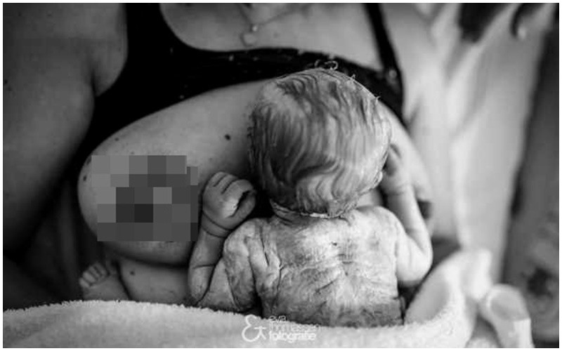 Sau khi trẻ sinh ra, trên da phủ một lớp màu trắng ngà có tác dụng miễn dịch, làm cơ thể đỡ mất nhiệt.
