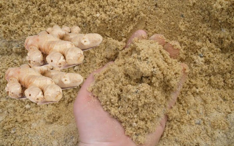 Chuẩn bị một cái thùng, lót một lớp cát dưới đáy rồi cho gừng vào, đổ một lượng cát thích hợp, phủ kín củ gừng. Cuối cùng vẩy một ít nước để gừng không bị khô. Bằng cách này, gừng có thể bảo quản được nửa năm.
