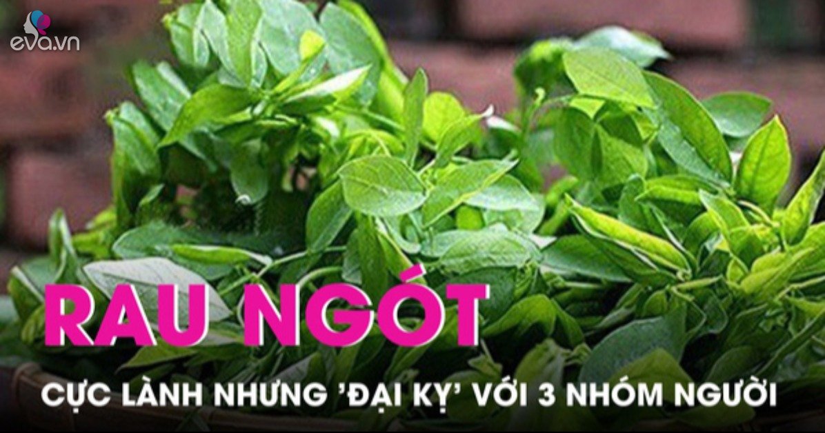 Rau ngót cực lành nhưng 3 nhóm người này muốn sống khỏe mạnh tuyệt đối ...