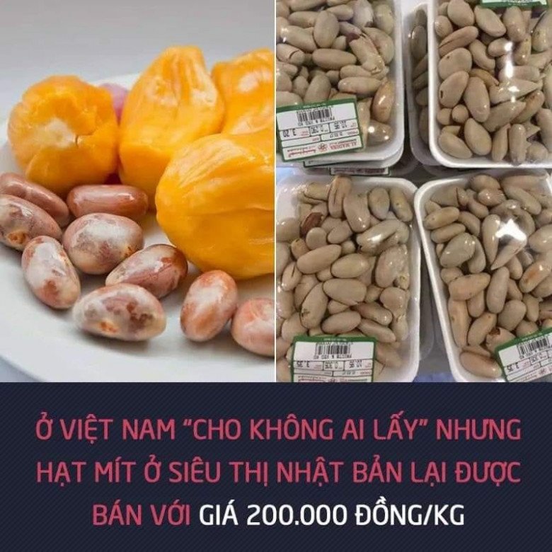 Theo thȏng tin trên mạng xã hội, hạt mít ᵭược bán với giá 200.000 ᵭṑng/1kg, ᵭắt hơn cả thịt lợn. 