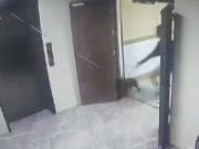 Clip Eva - Clip: Thanh niên nhanh trí cứu chú chó thoát chết trước thang máy