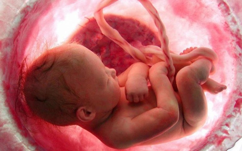Bé nằm trong tử cung của mẹ và được bao bọc xung quanh bởi nước ối. (Ảnh minh họa)