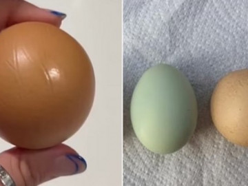 Đi siêu thị tình cờ mua được quả trứng tròn xoe hoàn hảo, bán lại được cả chục triệu