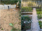 Tròn mắt với bảng phí cải tạo vườn của mẹ đảm Quảng Nam, chi tiết từng hạng mục, biến đất trống thành vườn xịn