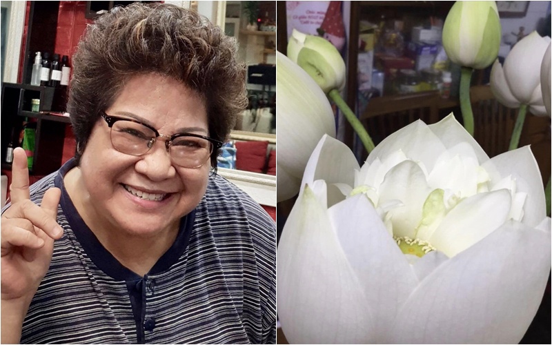 NSƯT Minh Vượng cũng vừa chia sẻ hình ảnh hoa sen trong nhà với màu trắng thanh khiết. Cô bày tỏ: "Đời sen…"
 
