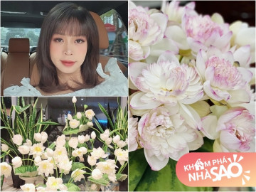 Vợ Mạnh Trường trưng cả một vườn hoa sen tuyệt đẹp trong nhà: Danh hài Minh Vượng, Giám đốc Diễm Quỳnh cùng sở thích
