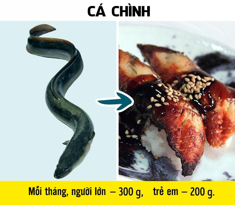 Cá chình hay lươn có nhiều mỡ nên dễ dàng hấp thụ chất thải công nghiệp trong nước. Cá chình Mỹ có mức nhiễm độc cao nhất. Cá chình châu Âu cũng bị ô nhiễm với một lượng lớn thuỷ ngân.
