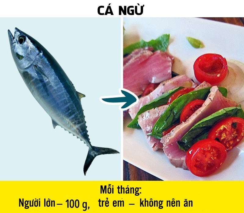 Cá ngừ chứa nhiều thủy ngân, đặc biệt là cá ngừ vây đen và vây xanh. Nhiều trong số chúng được nuôi bằng thức ăn có kháng sinh và hormone.
