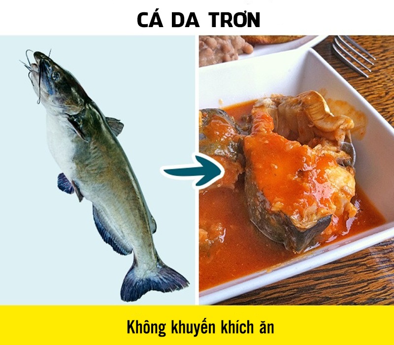 Cá da trơn có thể phát triển đến kích thước đáng kể. Để đẩy nhanh tốc độ tăng trưởng của chúng, nhiều người nuôi cá cho chúng ăn hormone, đặc biệt là những loại cá nhập khẩu từ các nước châu Á. 
