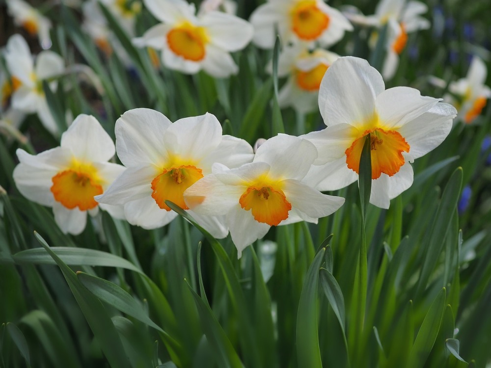 Vợ chồng hòa thuận, muốn ngày càng tốt hơn thì phải làm 3 điều - 2