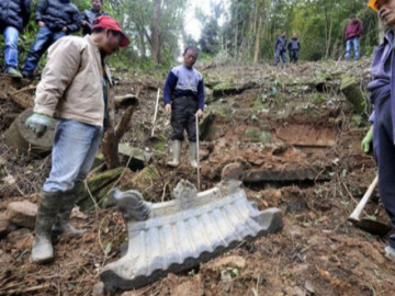 Tại sao những kẻ trộm mộ cổ nhìn thấy cây liễu mọc bên cạnh mộ liền quay đầu bỏ đi?