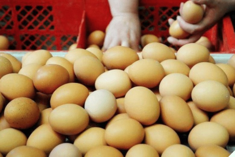 Mua trứng, người thông minh chỉ chọn quả nhỏ, người nông dân vô tình nói đừng mua bừa bãi
