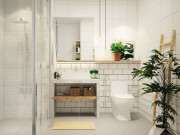 Nhà đẹp - Nhà vệ sinh của mẹ chồng quanh năm thơm tho không mùi, hóa ra là nhờ 4 loại cây cảnh này