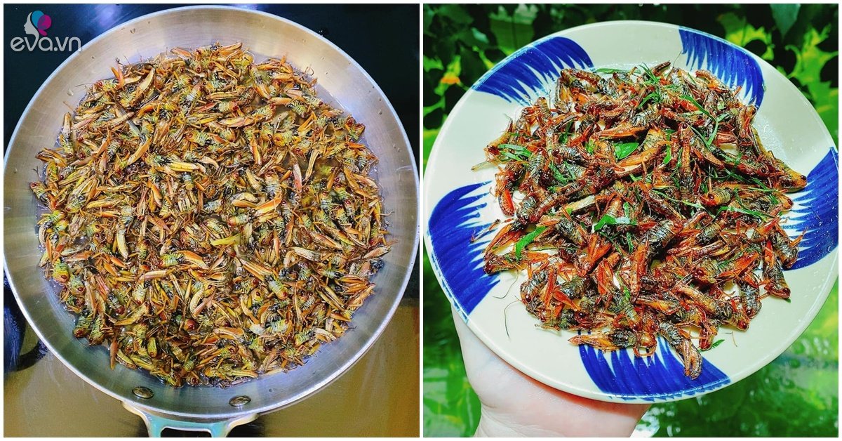 View - Con này xưa vứt cho gà ăn giờ là đặc sản, có giá vài trăm nghìn 1kg, đem nấu kiểu này quá tốn bia