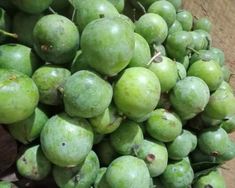Dọc là loại quả gia vị tạo vị chua nhưng lại ít người biết tới