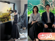 Nhà đẹp - Chồng Á hậu Phương Nga làm bể cá tại nhà luôn bị vợ đe dọa rán cá, giờ làm hẳn bể 4m "đã mắt"