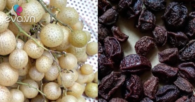 4 loại quả xưa rụng đầy không ai nhặt, giờ thành đặc sản được săn lùng ...