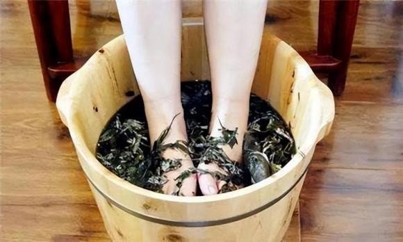 Loại rau chỉ vài nghìn một bó, ai cũng chỉ dùng ngọn mà không biết phần gốc mới là “thần dược” trời cho - 3