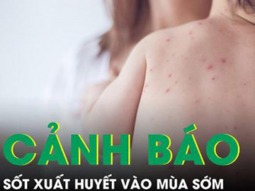 Cảnh báo sốt xuất huyết vào mùa sớm