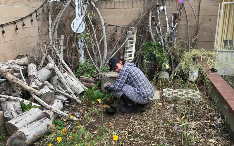 Ngọc Lễ từng chụp hình ảnh giản dị của vợ khi làm vườn: "Nàng đang loay hoay trồng lại.. làm vườn là thế, làm tới làm lui, chăm chút từng cái lá cái cành khác gì làm nhạc đâu nhỉ".
