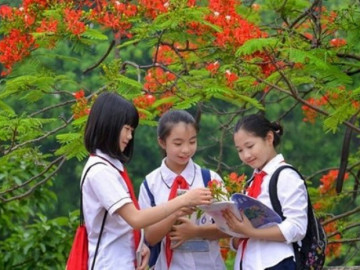 Lịch nghỉ hè của học sinh trên cả nước năm 2024