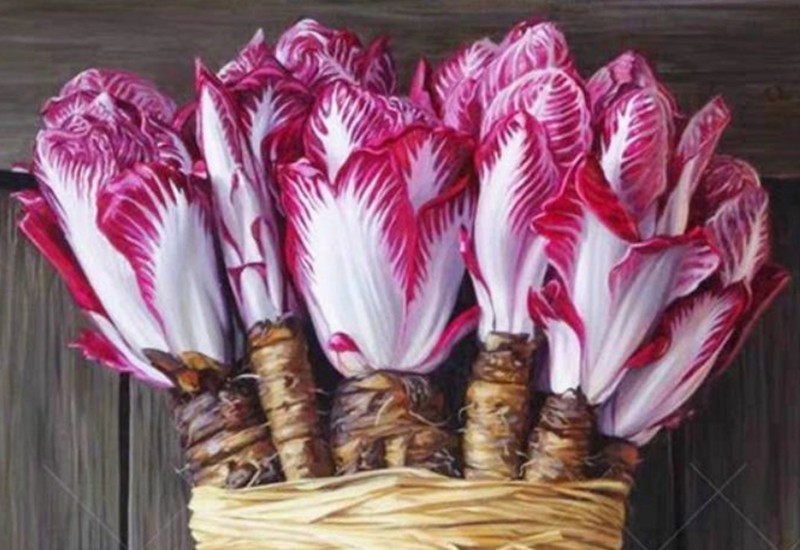 Loại rau này còn có tên gọi khác là bắp cải xoăn endive đỏ, tên tiếng Anh là red chicory, radicchio tardivo, có nguồn gốc từ Ý. Đây là một loại rau diếp có lá màu đỏ sẫm với các đường gân trắng, thuộc họ cúc và có liên quan đến rau diếp và cải xoăn.
